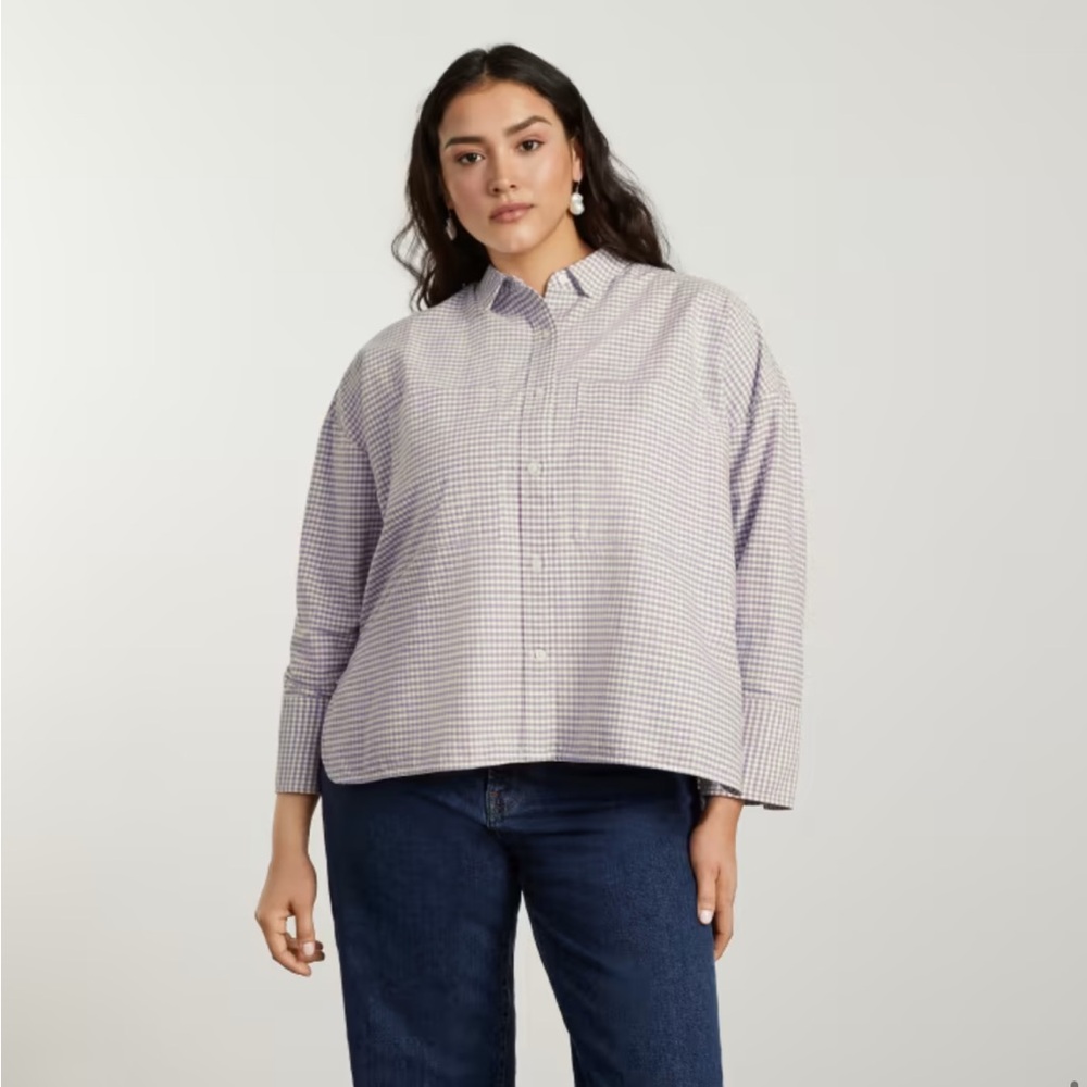 Everlane Boxy Oxford Shirt